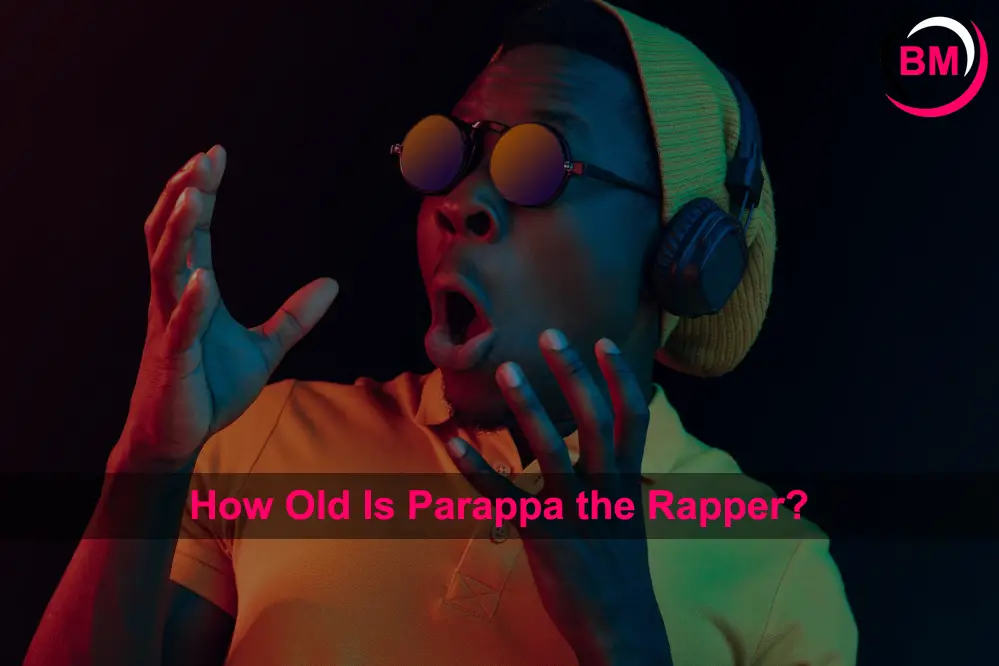 How Old Is Parappa the Rapper?