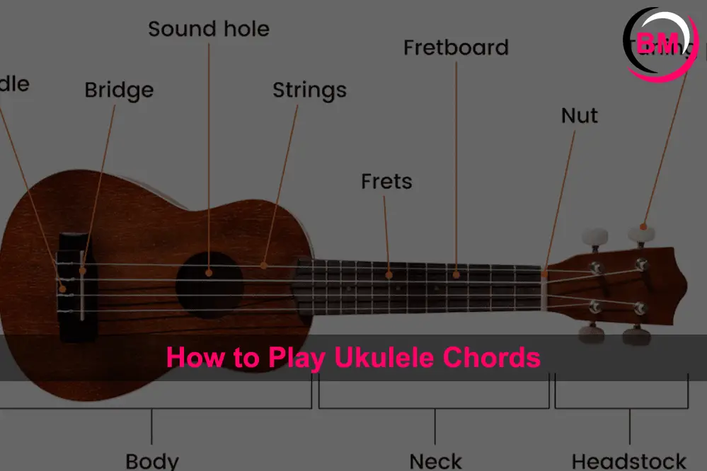 How to Play Ukulele Chords
