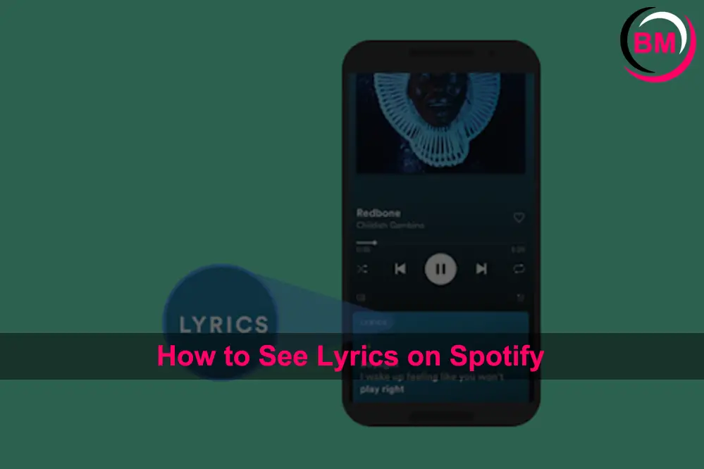 How to See Lyrics on Spotify
