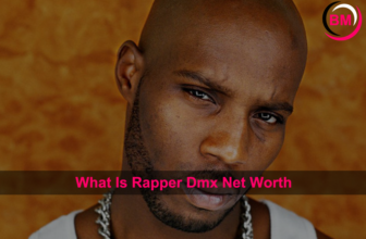 What Is Rapper Dmx Net Worth