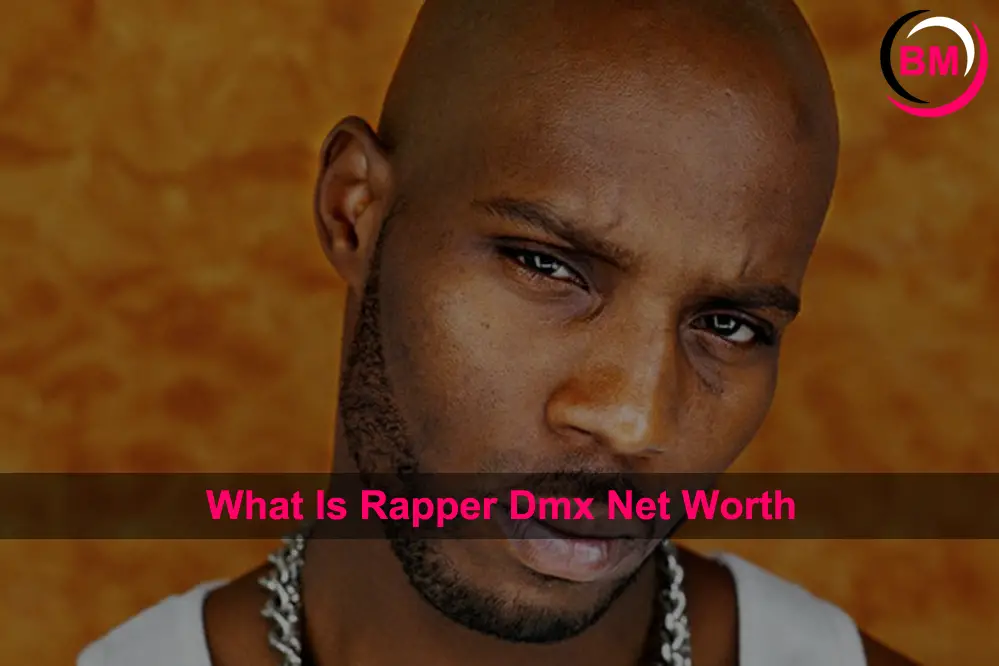 What Is Rapper Dmx Net Worth