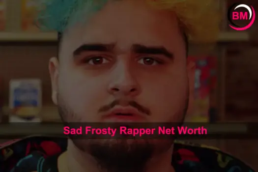 Musical Instruments (Reviews, Songs, Music, & Comparision) 12 Sad Frosty net worth