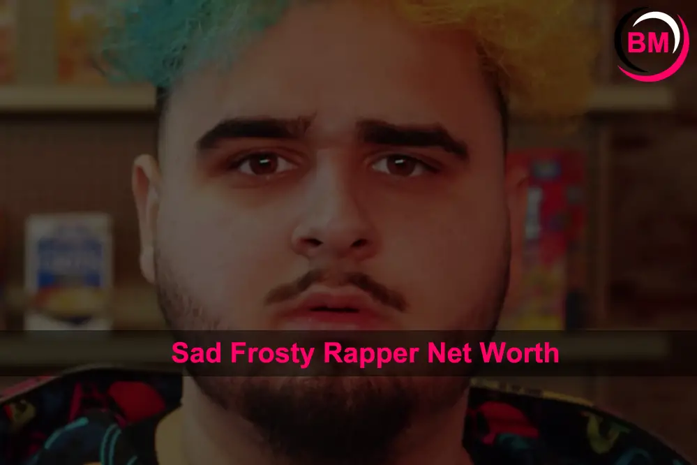 Sad Frosty net worth