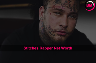 Stitches Net Worth