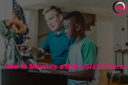 Musical Instruments (Reviews, Songs, Music, & Comparision) 15 How to Measure a Baby Grand Piano