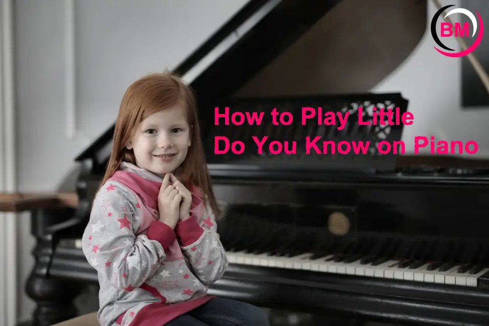 How to Play Little Do You Know on Piano