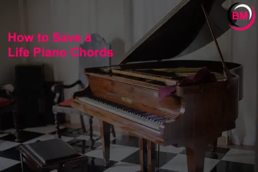 Musical Instruments (Reviews, Songs, Music, & Comparision) 13 How to Save a Life Piano Chords