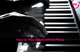 How to Play Blackbird on Piano