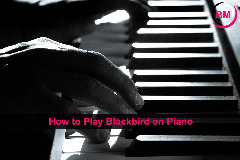 How to Play Blackbird on Piano