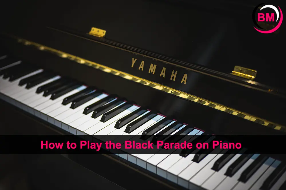 How to Play the Black Parade on Piano