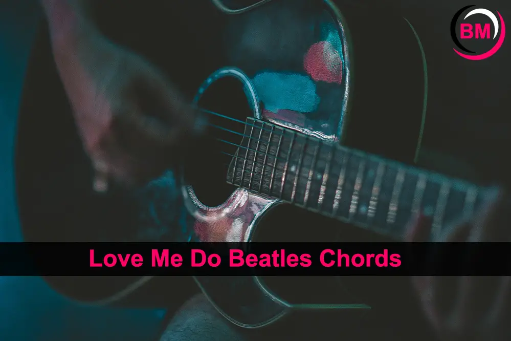 Love Me Do Beatles Chords