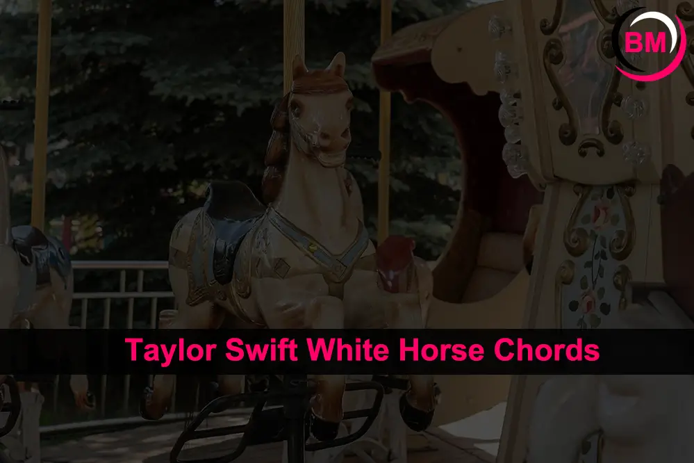 Taylor Swift White Horse Chords