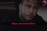 How Much Is Stitches Net Worth?